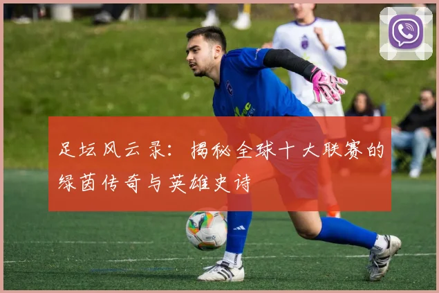足坛风云录:揭秘全球十大联赛的绿茵传奇与英雄史诗